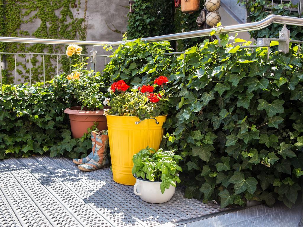Hotel Greifennest Ρόστοκ Εξωτερικό φωτογραφία