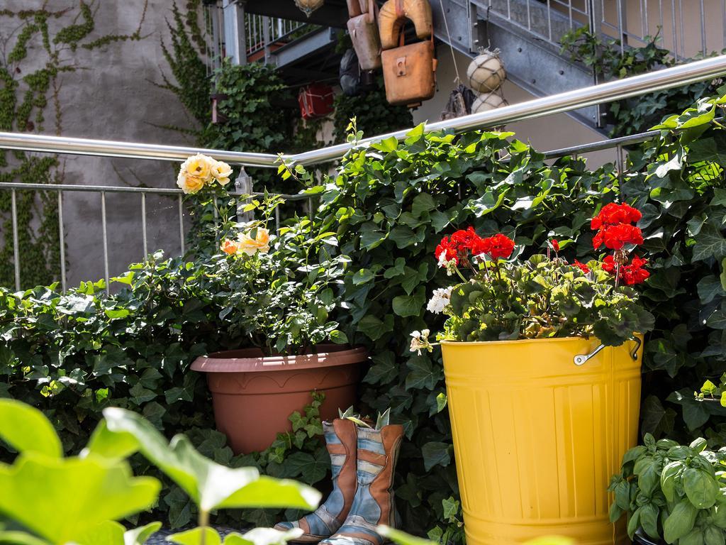 Hotel Greifennest Ρόστοκ Εξωτερικό φωτογραφία